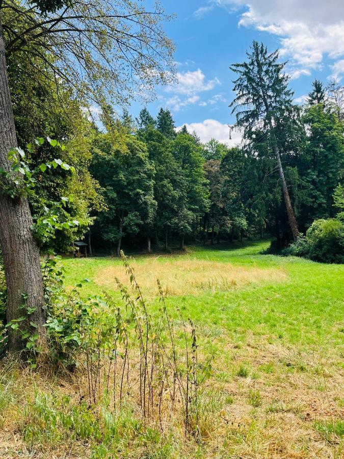 Casa Inn Parkview - Relax & Chill - Perfect For Business Travel, Weekend Trip, Family&Friends, Dogs Lover, Romance, Layover Or Longstay Limburg an der Lahn Exteriör bild