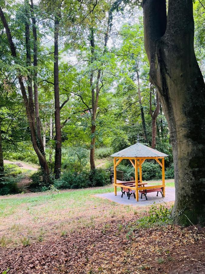 Casa Inn Parkview - Relax & Chill - Perfect For Business Travel, Weekend Trip, Family&Friends, Dogs Lover, Romance, Layover Or Longstay Limburg an der Lahn Exteriör bild